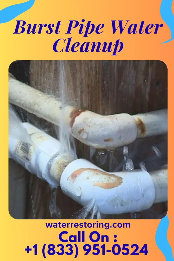 Burst Pipe Water Cleanup in Point Pleasant Beach, NJ