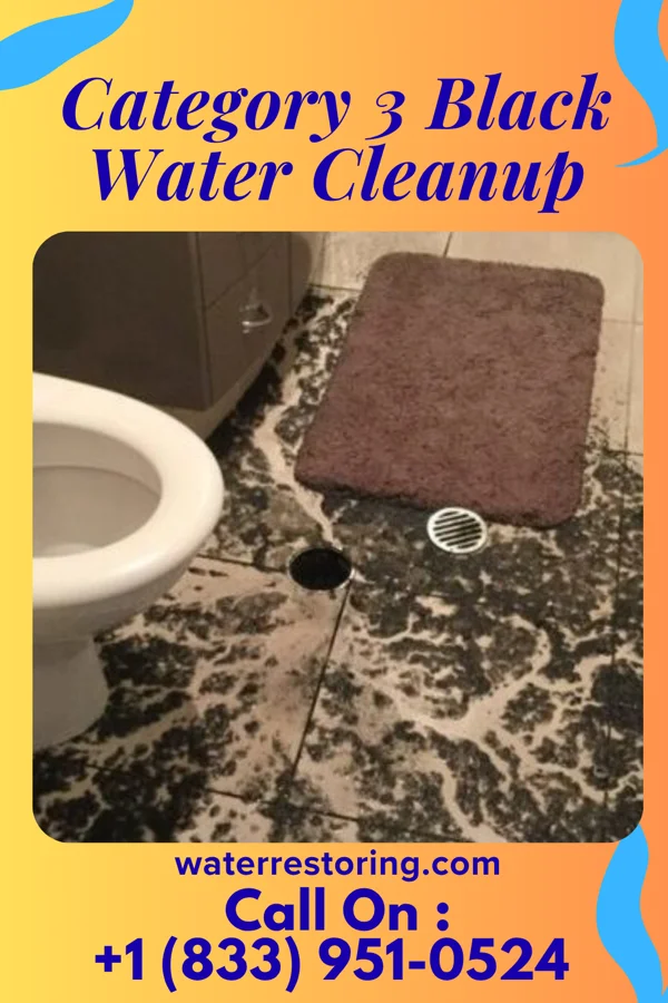Category 3 Black Water Cleanup in Point Pleasant Beach, NJ