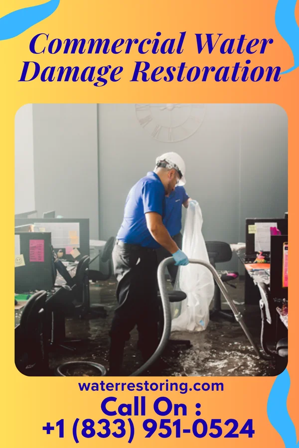 Commercial Water Damage Restoration in Point Pleasant Beach, NJ