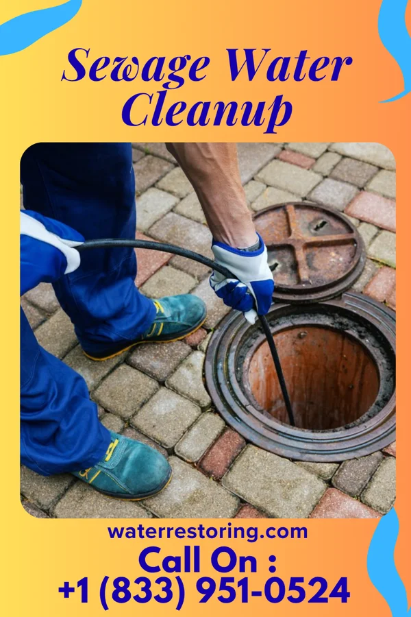 Sewage Water Cleanup in Point Pleasant Beach, NJ